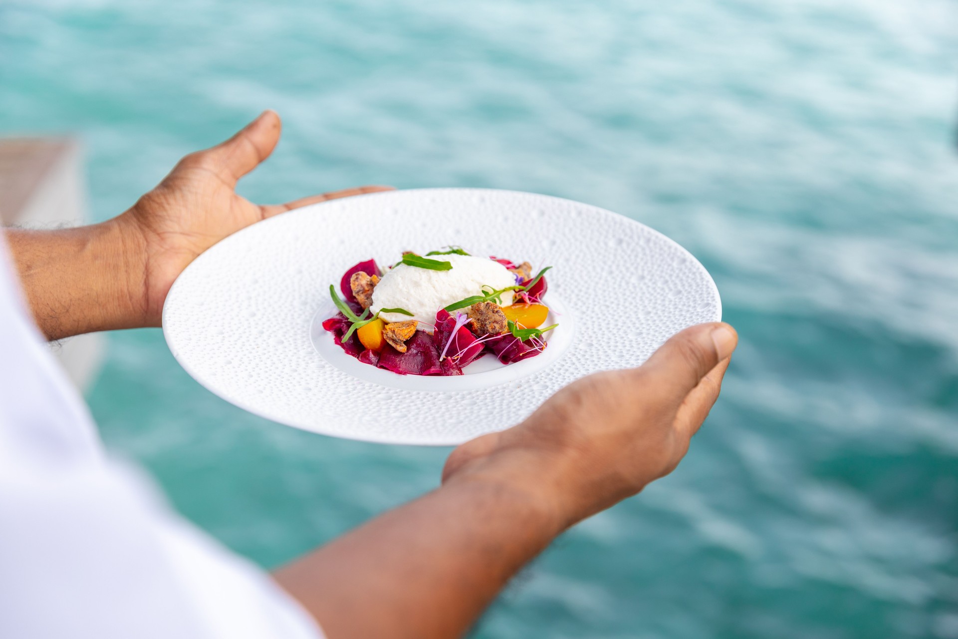 Gourmet appetizer dish with beetroot vegetables and whipped goat cheese  in Maldives Fine Dining Restaurant with plate by the sea